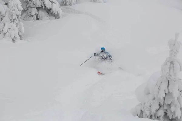 一个活跃的滑雪者弯曲着 刹车在自由落体的斜坡上喷出松驰的厚厚的积雪 冬季户外运动 — 图库照片