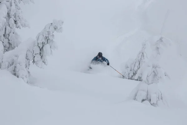 Esquiador Movendo Neve Profunda Floresta Uma Encosta Íngreme Terreno Serrano — Fotografia de Stock