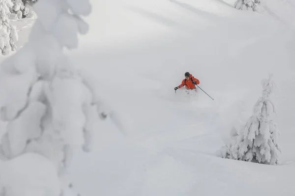 Skier Κινείται Μια Βαθιά Σκόνη Χιονιού Στο Δάσος Μια Απότομη — Φωτογραφία Αρχείου