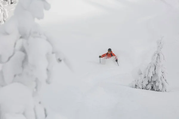 Skieur Actif Courbe Freine Pulvérisant Neige Épaisse Sur Pente Freeride — Photo