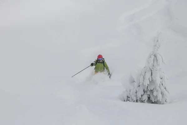 Skidåkare Rör Sig Snöpulver Skogen Brant Sluttning Skidorten Freeride Vintersport — Stockfoto