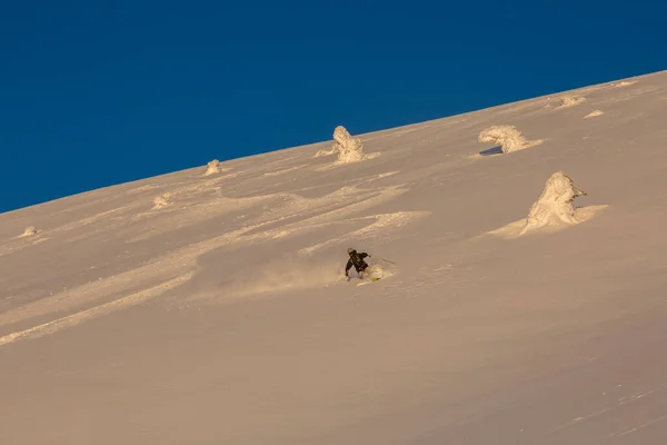 Esquiador Curvo Freios Pulverizando Neve Profunda Solta Encosta Freeride Downhill — Fotografia de Stock