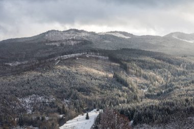 Karla kaplı bir çam, çam ve çam ağaçları kış dağ ormanlarında grafik bir doku oluşturur. Açık hava maceraları konsepti
