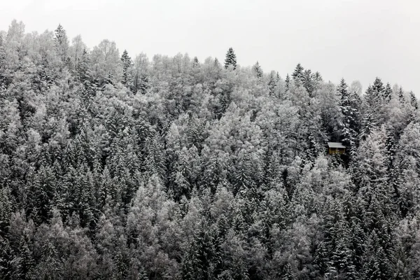 Dřevěný Dům Sněhu Pokryl Smíšené Borovice Jedle Smrky Tvořící Grafickou — Stock fotografie