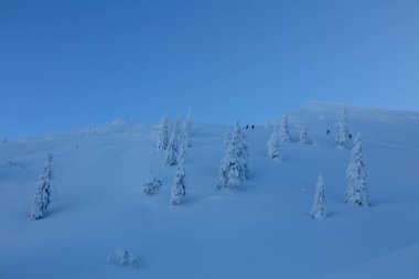 Freeriderlardan oluşan bir ekip, karlı dağlara tırmanıyor. Karla kaplı ladin arasında bir kış patikası. Açık havada, adrenalin dolu bir kış gezisi.