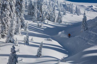 Aksiyon kamerasıyla kar kaykayının üzerindeki Freerider karlı bir dağda tepetaklak gider çam ağaçlarının arasında, açık havada adrenalin dolu kış serüveni