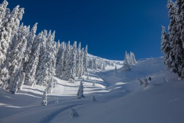 Snowboard 'a binen binici, karlı bir dağda tepetaklak olur. Karla kaplı çam ağaçları arasında kalır. Adrenalin dolu açık hava kış serüvenleri.