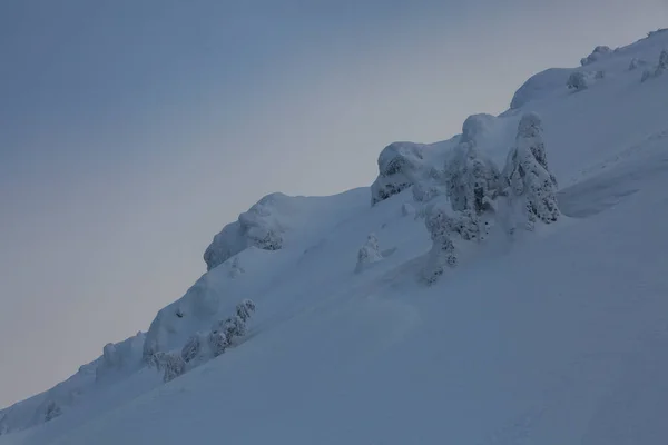 雪のドリフトと山の風景 白いふわふわの雪に覆われた木を発芽させます 冬の山の風景屋外のコンセプト — ストック写真
