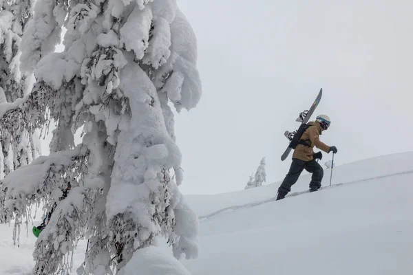 Ένας Snowboarder Snowshoes Ανεβαίνει Ένα Βουνό Χειμώνα Μια Snowboard Στους — Φωτογραφία Αρχείου