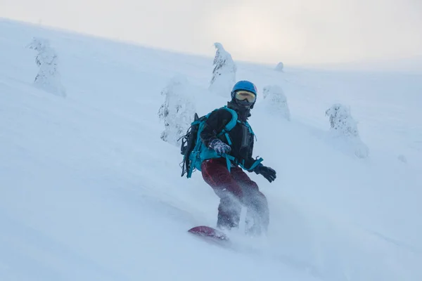 Fille Sur Snowboard Dans Couloir Montagne Enneigé Milieu Épinettes Enneigées — Photo