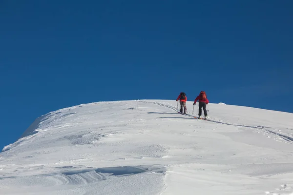 Une Équipe Skiteurs Freeriders Grimpe Ensemble Dans Les Montagnes Enneigées — Photo