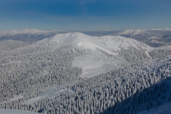 Kışın Dağ Ormanlarında Gün Batımında Gökyüzü Olan Beyaz Tüylü Karlarla — Stok fotoğraf