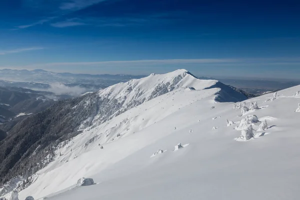 Sněžná Hora Pozadí Velkého Masivního Pohoří Marmaros Zimní Hory Krajina — Stock fotografie