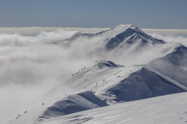 Büyük bir Marmaros dağ sırasının arka planında karlı bir dağ. Kış dağları dış mekan konsepti