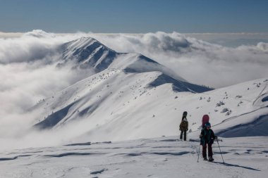 Elinde snowboard 'la dağların tepesine çıkan aktif bir kadın serbest gezgin dağcı.