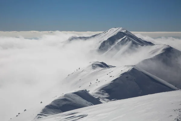 Snowy Mountain Background Large Massive Marmaros Mountain Range Winter Mountains — Stock Photo, Image
