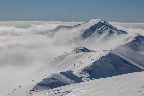 Śnieżna Góra Tle Masywnego Pasma Górskiego Marmaros Zimowe Góry Krajobraz — Zdjęcie stockowe
