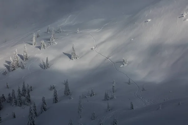 Caminho Neve Entre Floresta Inverno Montanhas Vista Superior Uma Adrenalina — Fotografia de Stock