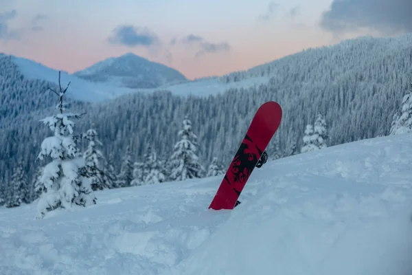 Marmaros Carpathians Ukraine Feb 2021 Red Snowboard Never Summer Background — Stock Photo, Image