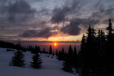 Kış otlağındaki Noel ağaçlarının arasında gün batımı. Kış dağları dış mekan konsepti