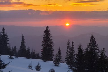 Kış otlağındaki Noel ağaçlarının arasında gün batımı. Kış dağları manzarası. Dramatik bulutlu gökyüzü