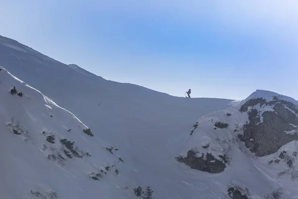중턱에 눈덮인 가문비나무 사이의 겨울철 배낭을 활동적 스키어 — 스톡 사진