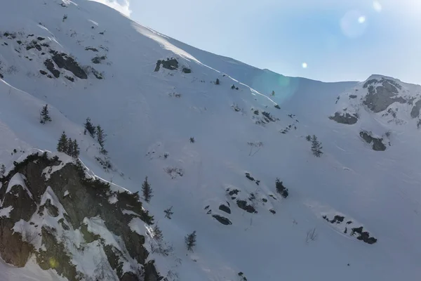 Bir Kayakçı Kayalar Ağaçlar Arasında Zorlu Bir Serbest Güzergahtan Iner — Stok fotoğraf