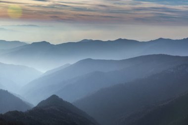 Kışın dağ ormanlarında gün batımında gökyüzü olan beyaz tüylü karlarla kaplı ladin ağaçları. Güzel Karpatyalı açık hava manzarası