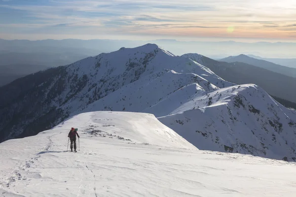 Skitour Dans Une Grande Montagne Enneigée Les Montagnes Des Carpates — Photo
