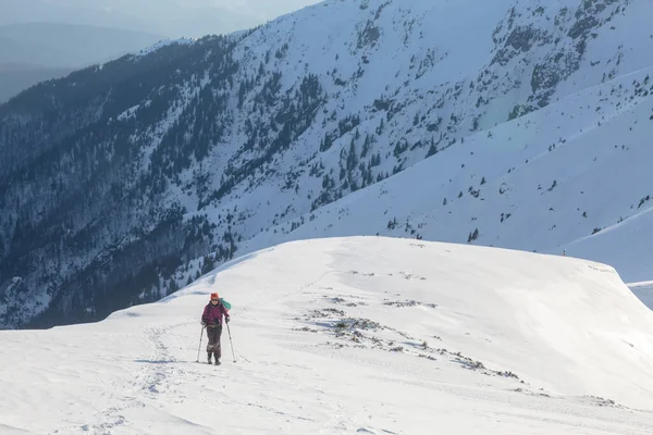 Skitour Velkých Zasněžených Horách Karpatské Hory Zimní Hory Krajina Venkovní — Stock fotografie