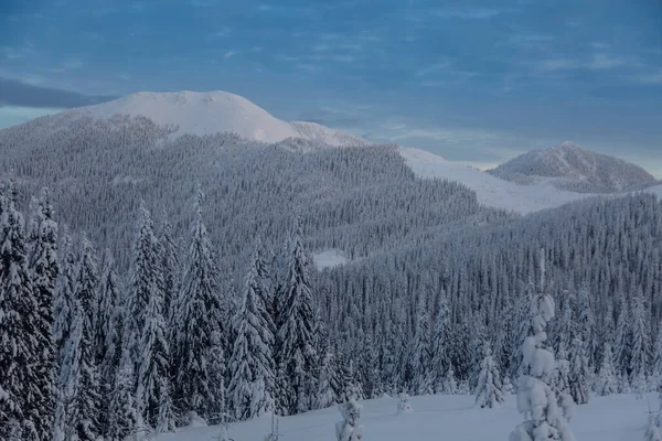 과푸른 하늘을 배경으로 알프스 산맥의 아래얼어붙은 나무들 아름다운 — 스톡 사진