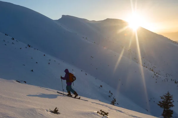 Skieur Monte Sommet Dans Les Rayons Soleil Matin Loisirs Actifs — Photo