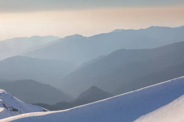 Alpinista Sulla Linea Montagne Innevate Cielo Occidentale Sera Carpazi — Foto Stock