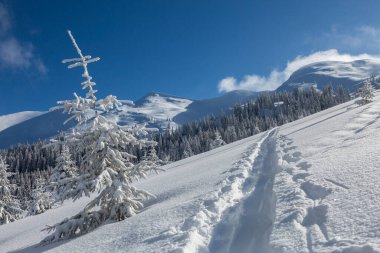 Soğuk kış sabahında görkemli bir manzara. Turizm konsepti.