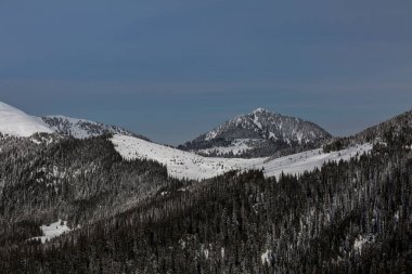 Hafif bir sis altında, bir dağ yamacındaki kozalaklı kış ormanı. Karlı dağlar ve zirveler