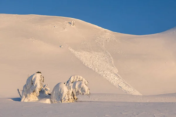 snow avalanche on mountain slope under warm sunlight. Winter snow-covered peak