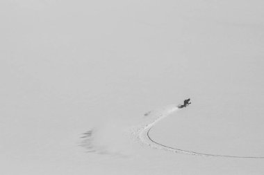 Great snowboarding line on white field, black and white photo of winter activity. Ski touring in mountains, winter freeride extreme sport