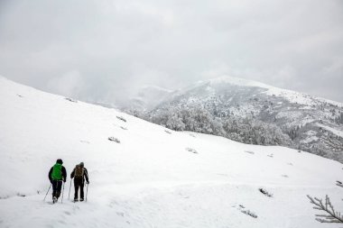 Hiker tourists in the white snowy mountain hike in the forest, Carpathians winter outdoor sports