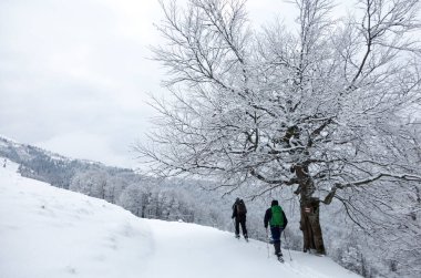 Hikers tourist in the white snowy mountain hike in the forest, Carpathians winter outdoor sports