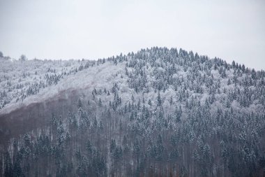 White covered with snow mountain forest with outdoor sports concept in the snowy winter mountains