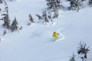 Taşralı snowboardcu, el değmemiş, el değmemiş kar tanelerini nazikçe oyuyor, serbest kayak yapıyor.