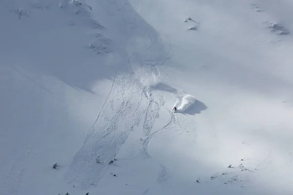 バックカントリーのスキーヤーはパウダースノーを気軽に滑れ 白い綿毛の跡を残します — ストック写真