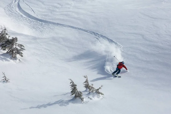 Esquiador Backcountry Desliza Sin Esfuerzo Través Nieve Polvo Chaqueta Color —  Fotos de Stock