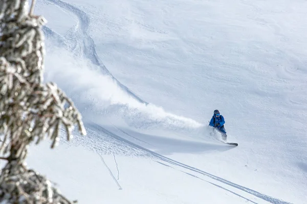 Snowboardzista Backcountry Wdziękiem Rzeźbi Nietkniętym Śniegu Puchu Pozostawiając Sobie Ślad — Zdjęcie stockowe