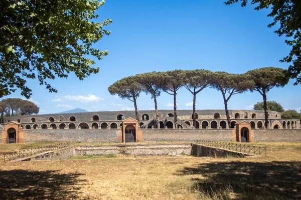 Roma forumunun kalıntıları antik Roma kenti Pompei 'deki ağaçlar ve mavi gökyüzü ile çevrilidir.