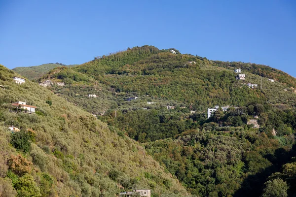 언덕에서 나무들 집들이 내려다 보이는 곳이다 티레니아해 이탈리아 — 스톡 사진