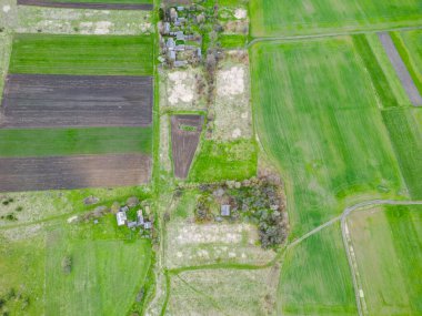 İnsansız hava aracı görüntüleri, yoğun ağaçlarla çevrili canlı yeşil bir alan yakalıyor. Kırsal bahar sahnesi