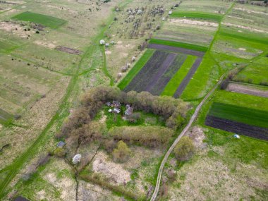 Yeşil bir tarlası ve yakındaki bir ormanı olan sakin bir bahar manzarasının genel görüntüsü. Kırsal bahar sahnesi