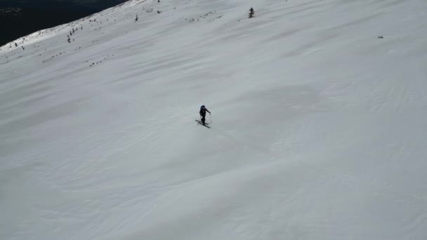 雪原を横断するバックパック付きスキー観光客のトップビュー 雪の上の冬の極端なスポーツ — ストック動画