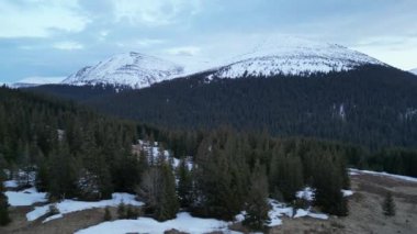 Sırt çantalı bir kayak turistinin karlı bir araziden geçişi. Kar üzerinde kış sporu